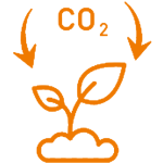 60207ad4a2c7e27ec6c3f83f_02-why-p-500